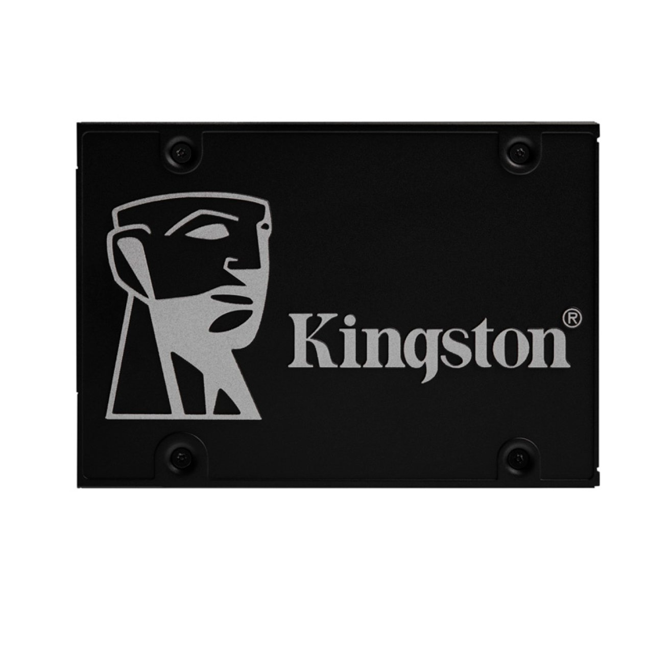 DISCO SSD 256GB, SATA